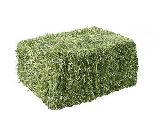 PACA DE HENO DE ALFALFA 