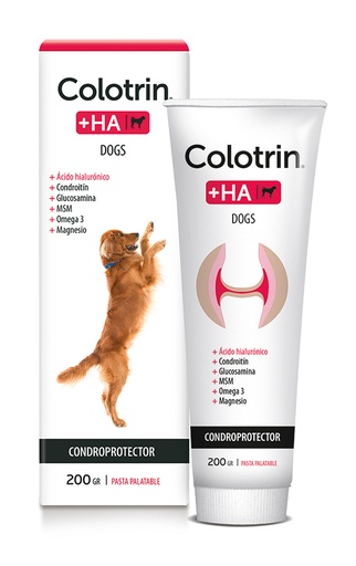 COLOTRIN +HA GLUCOSAMINA PASTA PALATABLE