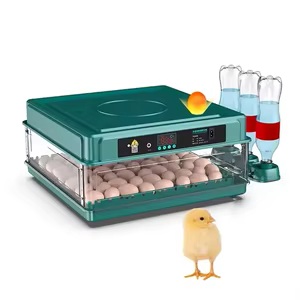 [AG004] INCUBADORA DE HUEVOS AUTOMATICA DE 64 HUEVOS CON VOLTEO AUTOMATICO