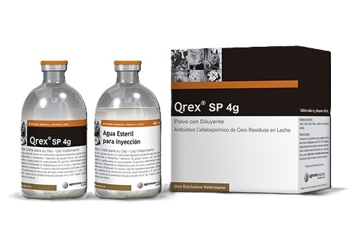 [400998] QREX SP VIALES 4G
