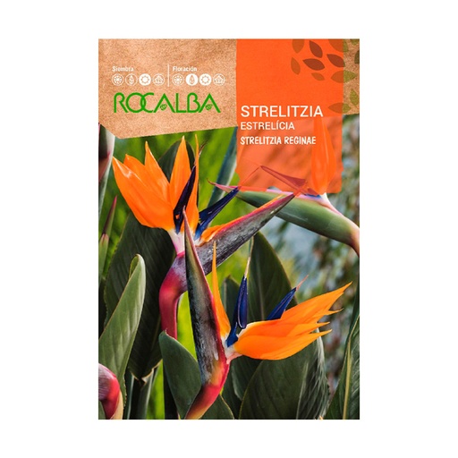 SEMILLA AVE DEL PARAISO ROCALBA 3 GRS