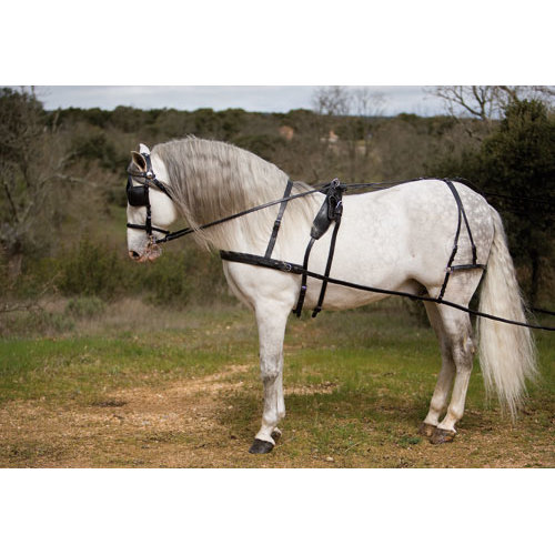 [01352006411] ENGANCHE LEXHIS KIEL PECHERIN SENCILLO NEGRO FULL