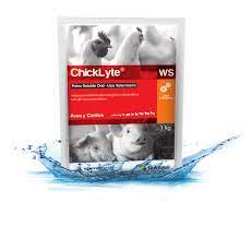 CHICK LYTE WS 15g