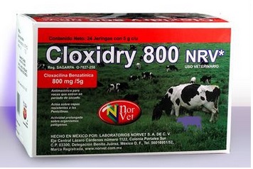 CLOXIDRY SECADO 5 GR