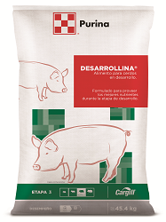 [2170] DESARROLLINA CHK