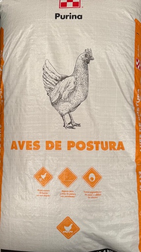 [6394] FORTALINA CHK QUINTAL