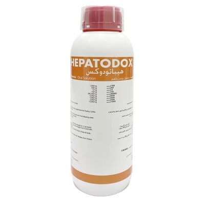 [1-1702013] HEPATODOX LITRO
